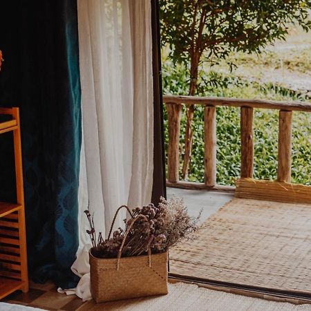 3 Pok Maewang Jinxiang Appartement Mae Wang Buitenkant foto
